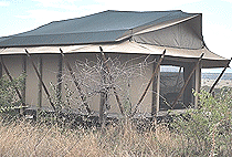 Dorobo Bush Camp Mara Naboisho Dorobo Bush Camp Mara Naboisho