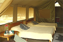 Duma Camp Masai Mara Duma Camp Masai Mara