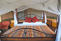 Elangata Olerai Luxury Tented Camp Masai Mara Elangata Olerai Luxury Tented Camp Masai Mara