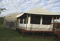 Elangata Olerai Luxury Tented Camp Masai Mara Elangata Olerai Luxury Tented Camp Masai Mara