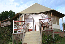 Elangata Olerai Luxury Tented Camp Masai Mara Elangata Olerai Luxury Tented Camp Masai Mara