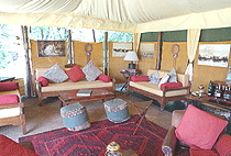 Elephant Pepper Camp Masai Mara  Elephant Pepper Camp Masai Mara