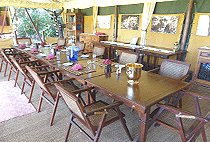 Elephant Pepper Camp Masai Mara  Elephant Pepper Camp Masai Mara