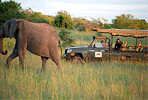 Encounter Mara Safari Camp Encounter Mara Safari Camp