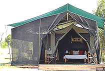 Enkewa Bush Camp Masai Mara Enkewa Bush Camp Masai Mara