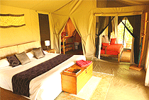 Enkewa Mara Camp Kenya Enkewa Mara Camp Kenya