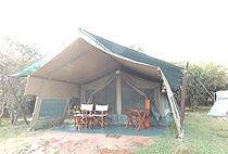 Entim Camp Masai Mara Entim Camp Masai Mara