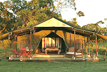 Entim Camp Masai Mara Entim Camp Masai Mara