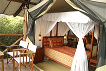 Fig Tree Camp Masai Mara Fig Tree Camp Masai Mara