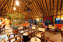 Fig Tree Camp Masai Mara Fig Tree Camp Masai Mara