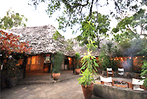 Fig Tree Camp Masai Mara Fig Tree Camp Masai Mara