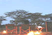 Gamewatchers Adventure Camp Ol Kinyei Gamewatchers Adventure Camp Ol Kinyei