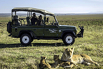 Governors Camp Masai Mara Governors Camp Masai Mara