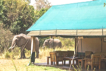 Governors Private Camp Masai Mara Governors Private Camp Masai Mara