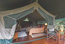 Governors Private Camp Masai Mara Governors Private Camp Masai Mara