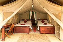 Hammerkop Migration Camp Masai Mara Hammerkop Migration Camp Masai Mara