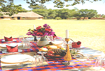 House Wild Masai Mara House Wild Masai Mara