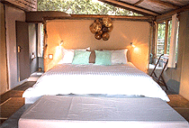 House Wild Masai Mara House Wild Masai Mara