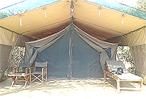 Ilkeliani Camp Masai Mara Ilkeliani Camp Masai Mara