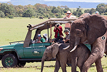 Julias River Camp Mara Julias River Camp Mara