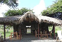 Kandili Camp Masai Mara