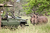 8 Days Kenya Safari Samburu Aberdare Nakuru Masai Mara