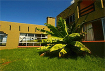 Masaai House Lake Naivasha Guest Home