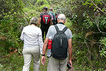 2 Days 1 Night Materuni Village Cultural Tourism Moshi Tour 2 Days 1 Night Materuni Village Cultural Tourism Moshi Tour