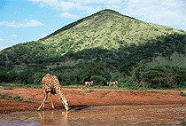 Ol Donyo Sabuk Park Fourteen Falls 1 Day Tour