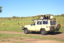 Crocodile Camp Masai Mara