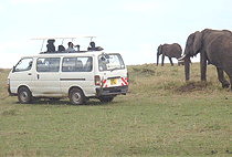 Enchoro Wildlife Camp Masai Mara