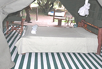 Enchoro Wildlife Camp Masai Mara