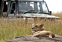 Keekorok Lodge Masai Mara Keekorok Lodge Masai Mara