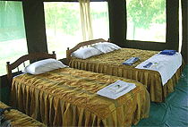 Kichakani Camp Masai Mara