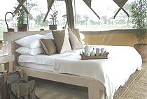 Kicheche Bush Camp Masai Mara