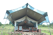 Kicheche Bush Camp Masai Mara