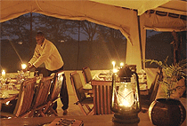 Kicheche Bush Camp Masai Mara