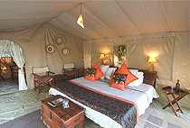 Leleshwa Camp Masai Mara