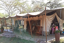 Leleshwa Camp Masai Mara