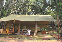 Little Naibor Camp Masai Mara