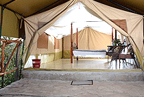 Little Olerai Luxury Camp Masai Mara Little Olerai Luxury Camp Masai Mara