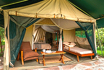 Losokwan Camp Masai Mara Losokwan Camp Masai Mara