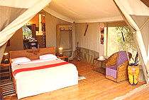 Loyk Mara Camp Kenya Loyk Mara Camp Kenya