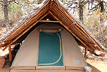 Maji Moto Eco Camp Masai Mara