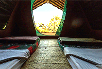 Maji Moto Eco Camp Masai Mara