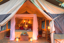 Malaika Bush Camp Masai Mara