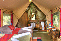 Malaika Bush Camp Masai Mara