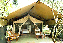 Mara Bush Camp Masai Mara Mara Bush Camp Masai Mara