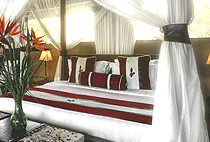 Mara Bush Camp Private Wing Mara Bush Camp Private Wing