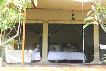 Mara Crossings Camp Mara Crossings Camp